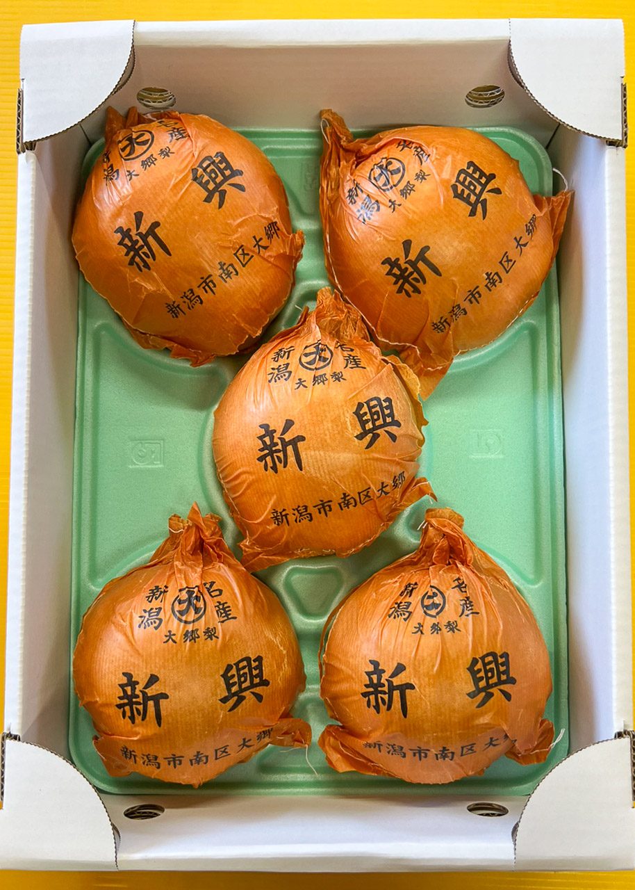 新興のギフト箱