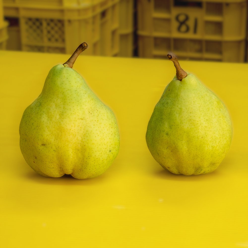 ル レクチェ