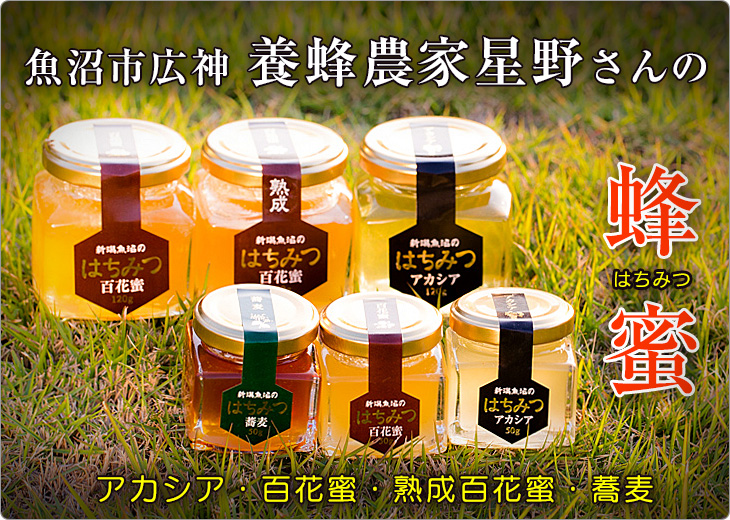 新潟県魚沼市広神 養蜂家 星野さんの蜂蜜。アカシア・百花・百花熟成・蕎麦