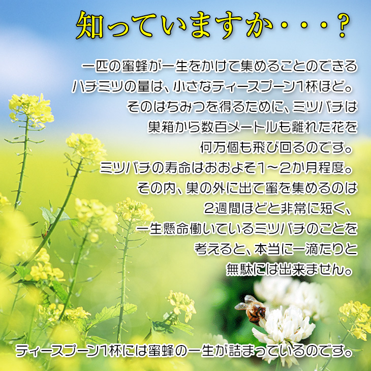 知っていますか？一匹の蜜蜂が一生をかけて集めることのできる ハチミツの量は、小さなティースプーン1杯ほど。 そのはちみつを得るために、ミツバチは 巣箱から数百メートルも離れた花を 何万個も飛び回るのです。 ミツバチの寿命はおおよそ１〜２か月程度。 その内、巣の外に出て蜜を集めるのは 2週間ほどと非常に短く、 一生懸命働いているミツバチのことを 考えると、本当に一滴たりと 無駄には出来ません。ティースプーン1杯には蜜蜂の一生が詰まっているのです。