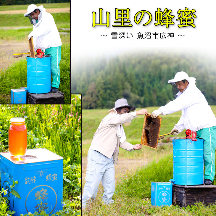 山里の蜂蜜雪「深い魚沼市広神」