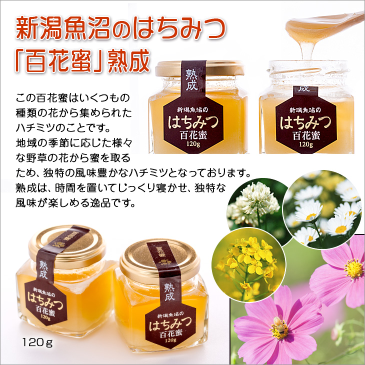 新潟魚沼のはちみつ 「百花蜜」熟成。この百花蜜はいくつもの 種類の花から集められた ハチミツのことです。 地域の季節に応じた様々 な野草の花から蜜を取る ため、独特の風味豊かなハチミツとなっております。 熟成は、時間を置いてじっくり寝かせ、独特な 風味が楽しめる逸品です。