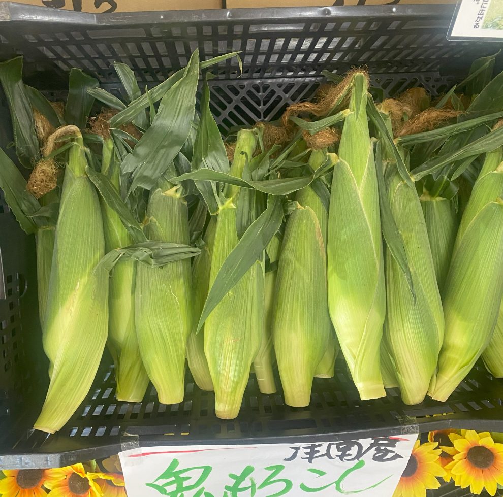 津南町産の鬼もろこし 鬼や福ふく 島田農園