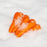 雪下にんじん