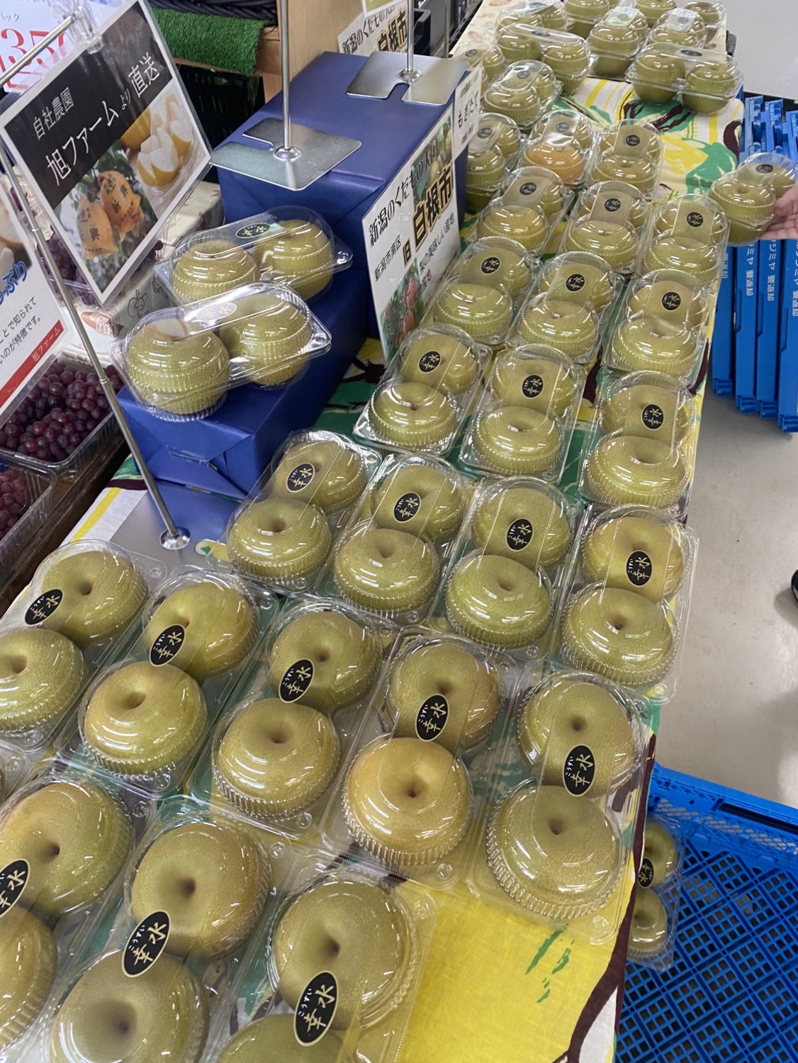 津南観光物産館の幸水梨売場