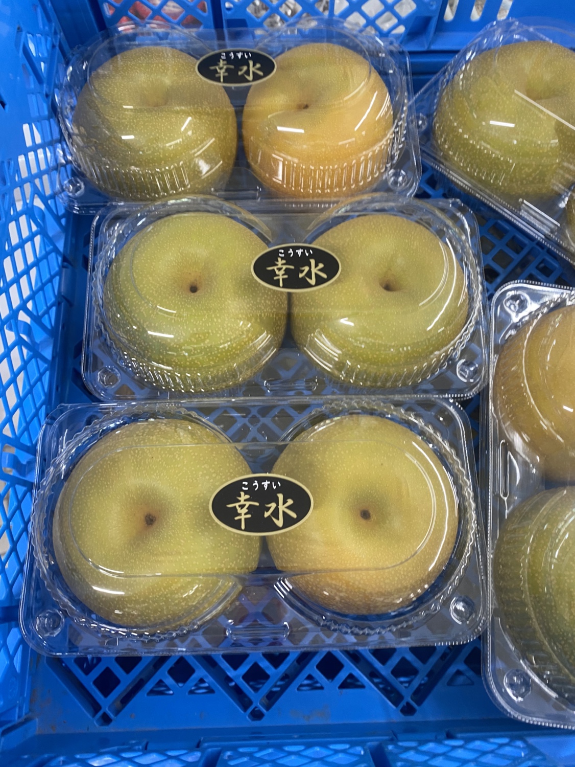 津南観光物産館で販売中の旭ファーム幸水梨
